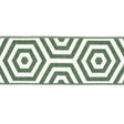 Schumacher Green Bees Knees Indoor/Outdoor Tape