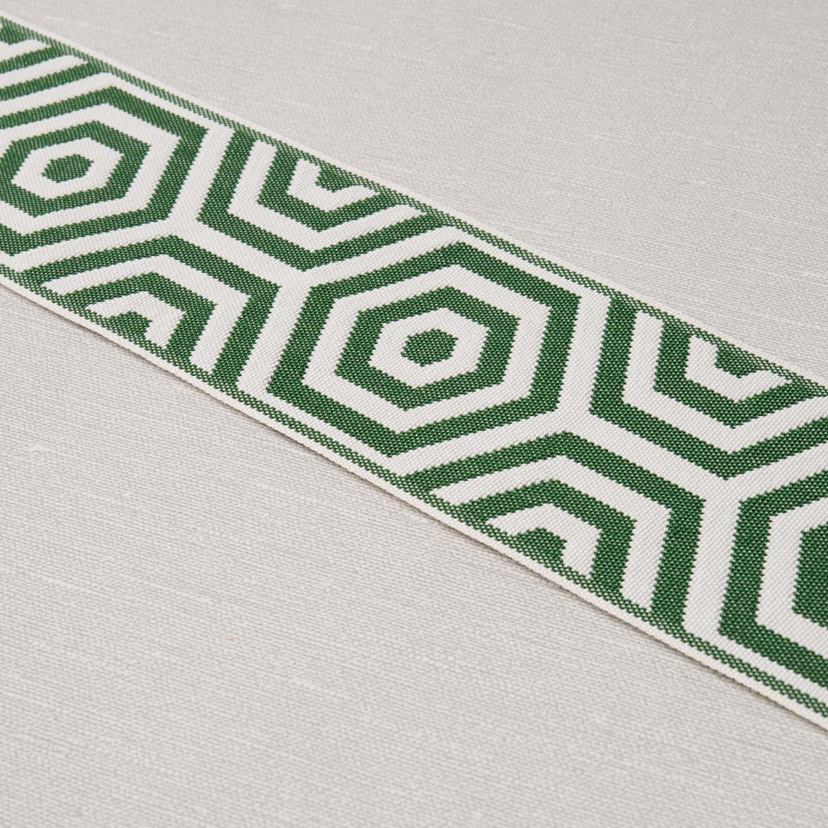 Schumacher Bees Knees Indoor/Outdoor Tape Green Trim