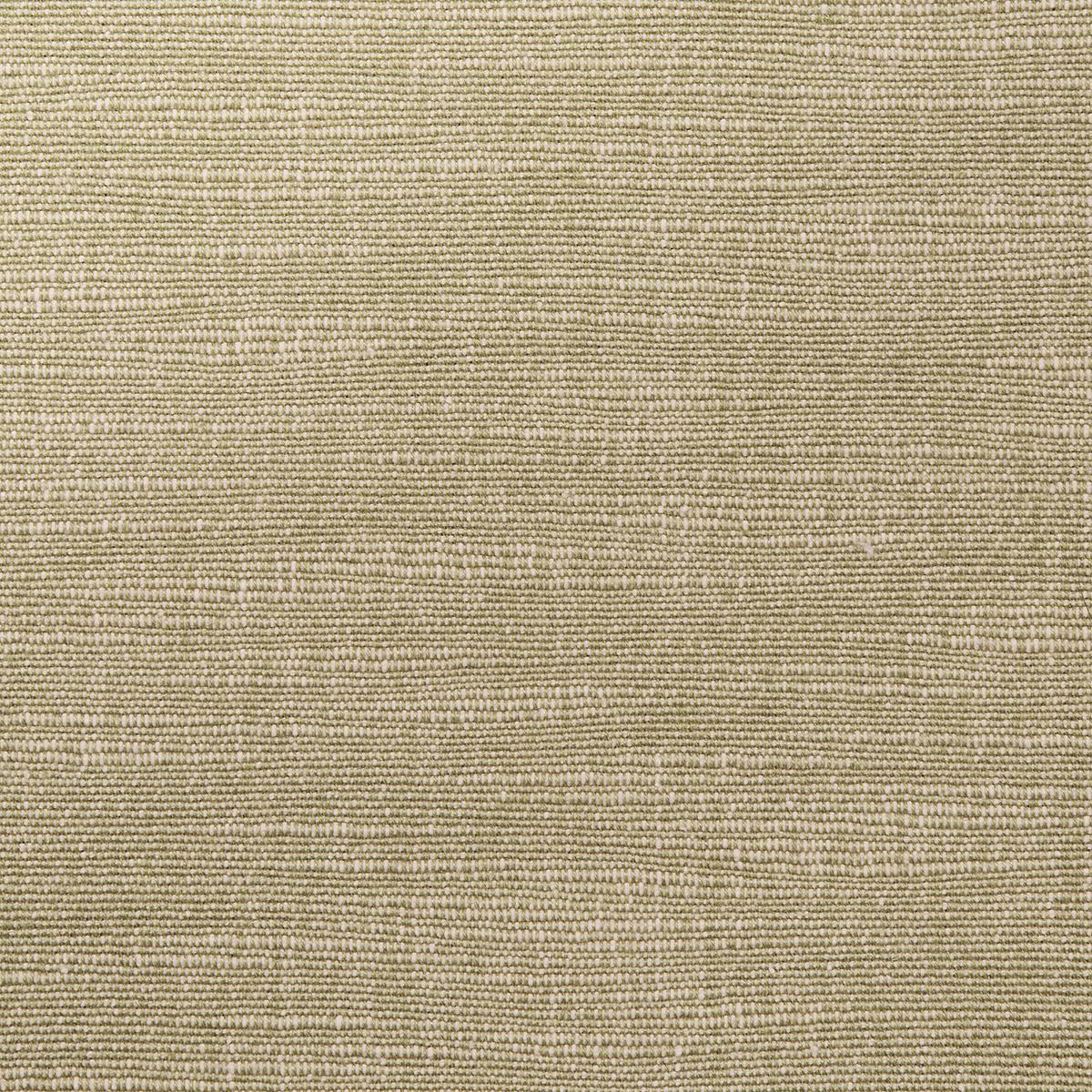 Schumacher Annabel Cotton Neutral Fabric