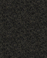 A-Street Prints Bulan Black Abstract Lines Wallpaper