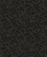 A-Street Prints Bulan Abstract Lines Black Wallpaper