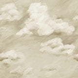 Harlequin Air Golden Light Wallpaper