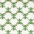 Harlequin Wood Frog Forest/Chalk Wallpaper