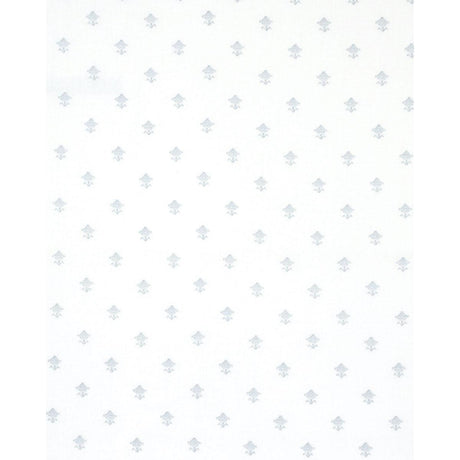 Schumacher Rubia Sheer Sky Fabric