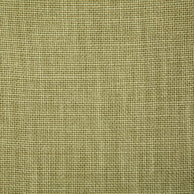 Pindler FABIENNE LIME Fabric