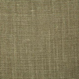 Pindler FABIENNE OLIVE Fabric