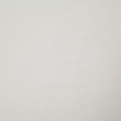 Pindler AIYANA SHELL Fabric