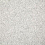 Pindler WALLACE SHELL Fabric