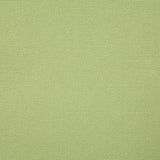 Pindler HUTTON CITRON Fabric