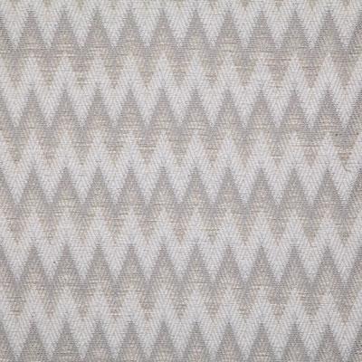 Pindler CHADWELL MARBLE Fabric