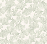 Antonina Vella Ginkgo Toss Green Wallpaper