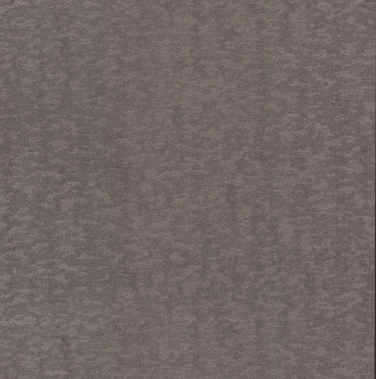 Antonina Vella Weathered Cypress Silver Wallpaper