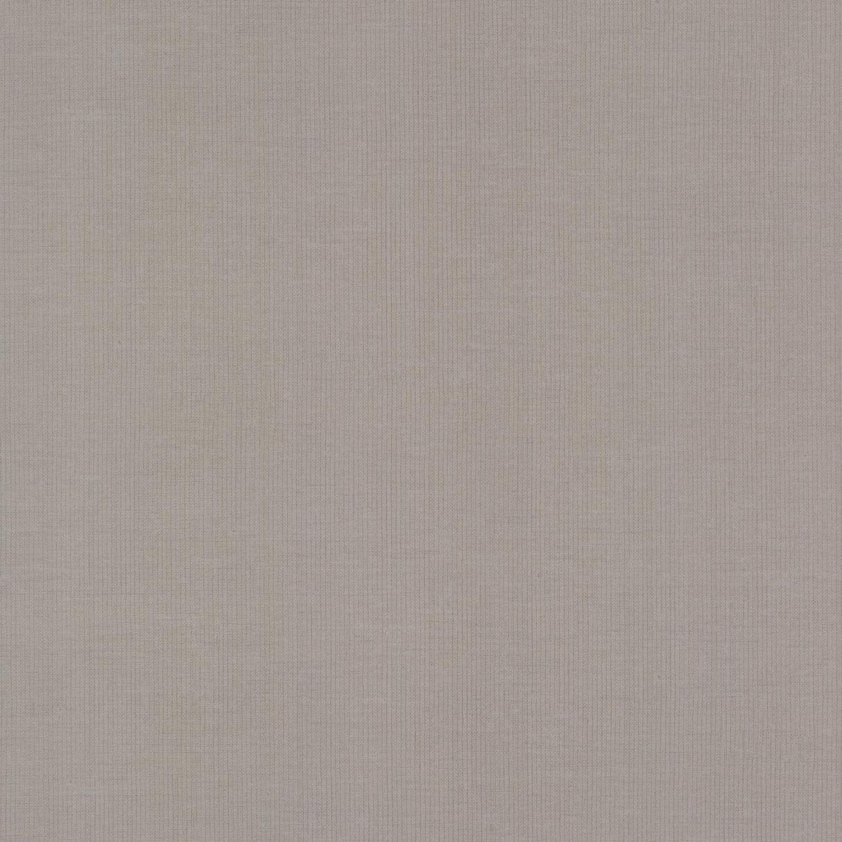 Antonina Vella Gossamer Woven Silver/Gray Wallpaper