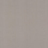 Antonina Vella Gossamer Woven Silver/Gray Wallpaper