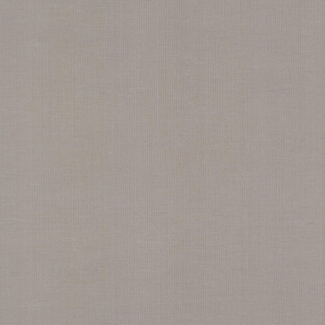 Antonina Vella Gossamer Woven Silver/Gray Wallpaper