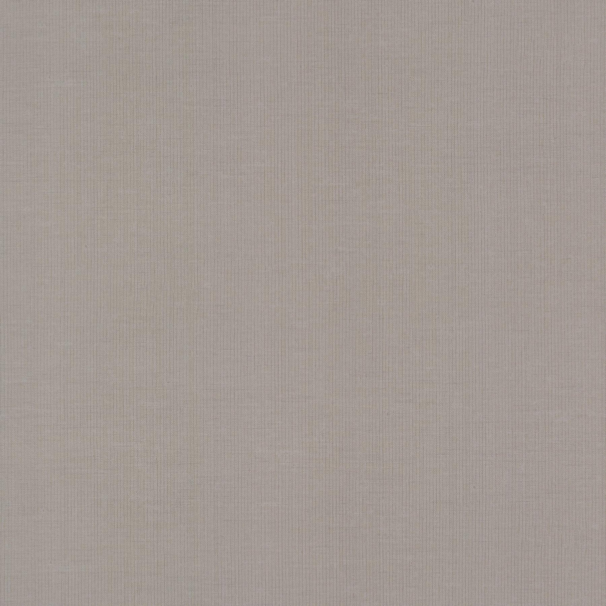 Antonina Vella Gossamer Woven Silver/Gray Wallpaper