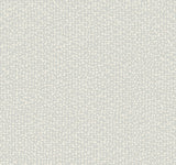 Antonina Vella Galaxies Gray Wallpaper