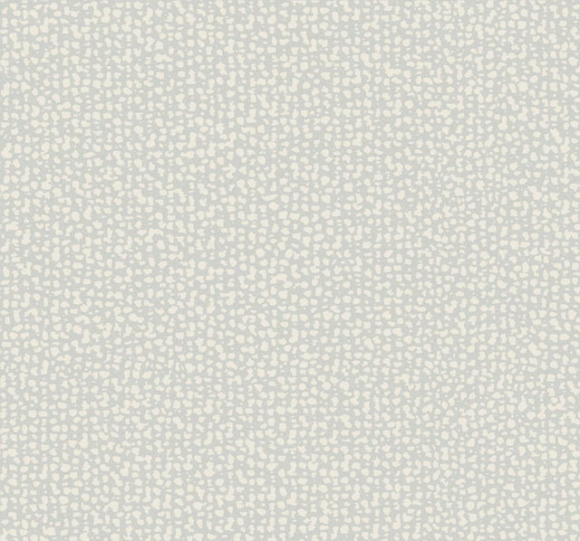 Antonina Vella Galaxies Gray Wallpaper