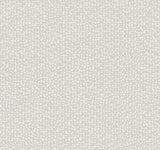 Antonina Vella Galaxies Gray Wallpaper