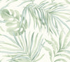 Candice Olson Paradise Palm Peel & Stick Aloe Wallpaper