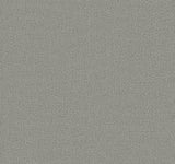 York Grey Dandy Grey Wallpaper
