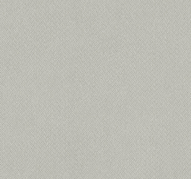 York Beige & Brown Give & Take Beige Wallpaper