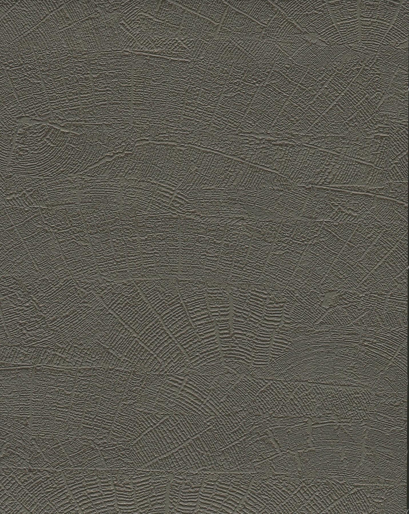York Grey & Brown On Deck Grey Wallpaper