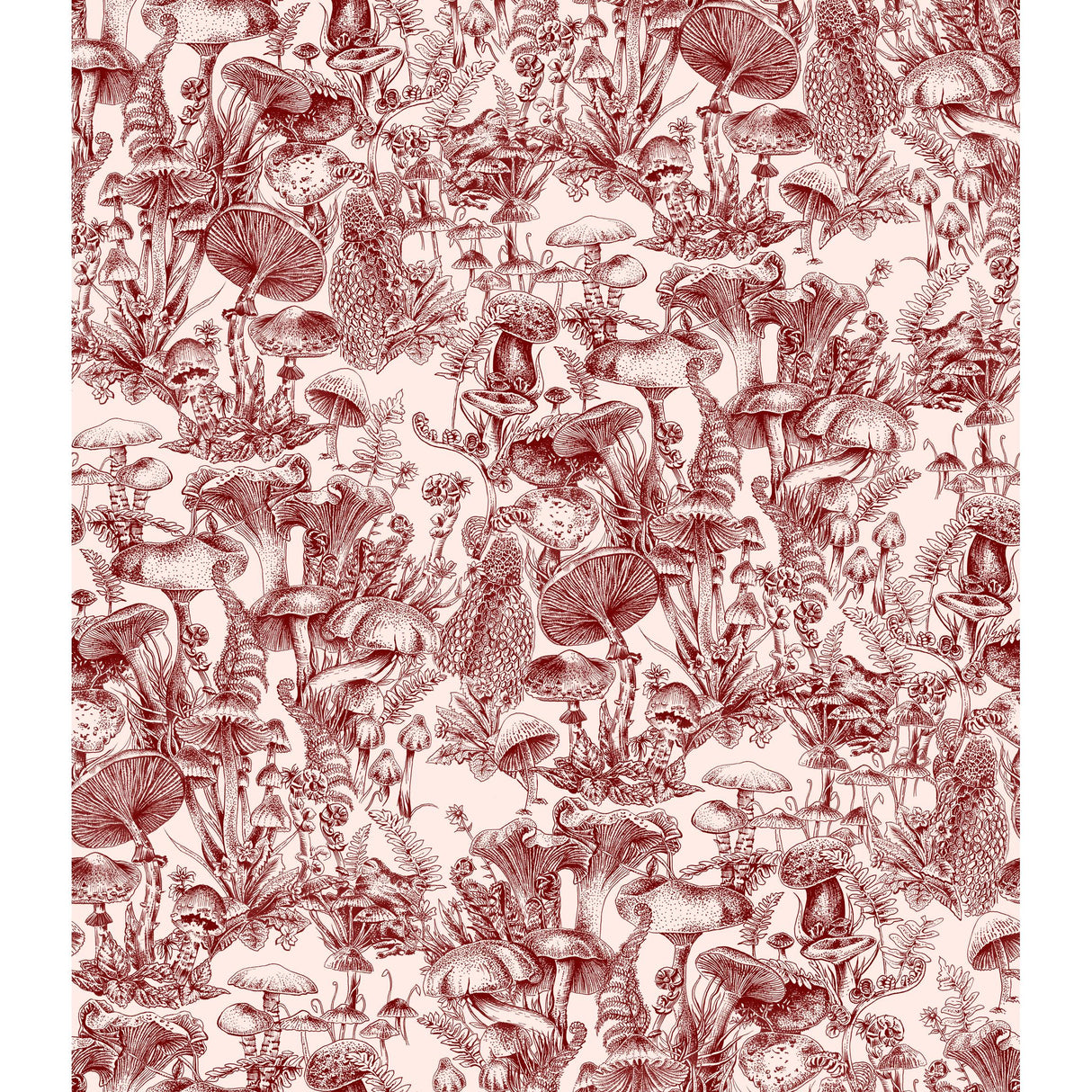 Cole & Son FUNGI FOREST BURGUNDY Wallpaper
