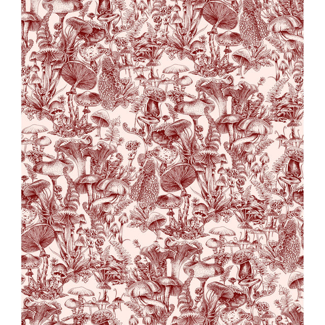 Cole & Son FUNGI FOREST BURGUNDY Wallpaper