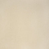 Kravet Fomo Coconut Fabric