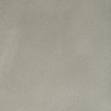 Kravet Fomo Fog Fabric