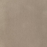 Kravet Fomo Fawn Fabric