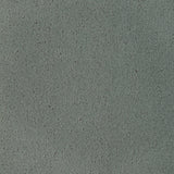 Kravet FOMO KOALA Upholstery Fabric