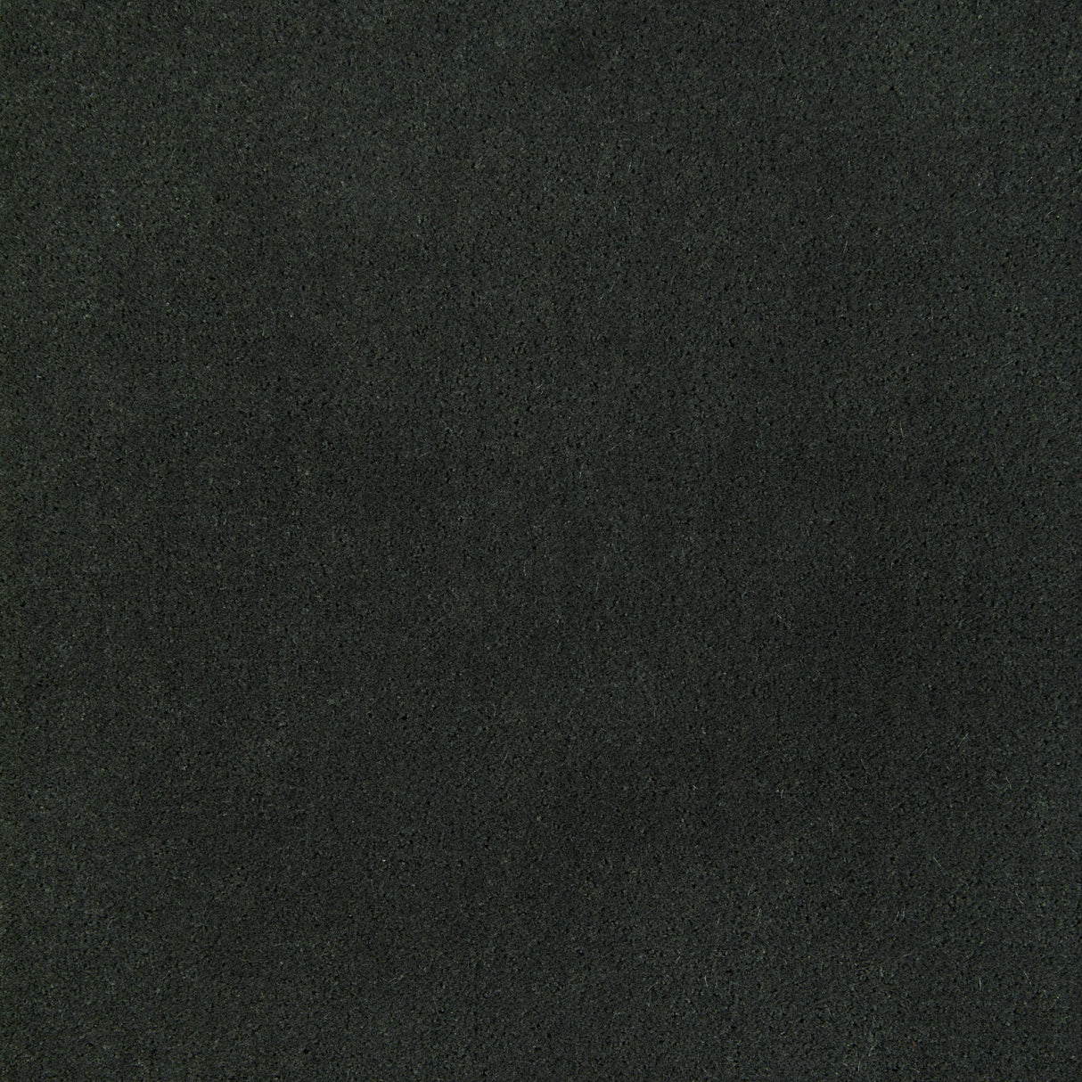 Kravet FOMO FORTRESS Upholstery Fabric