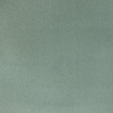 Kravet FOMO AGAVE Upholstery Fabric