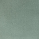 Kravet Fomo Agave Fabric