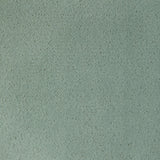 Kravet FOMO AGAVE Upholstery Fabric