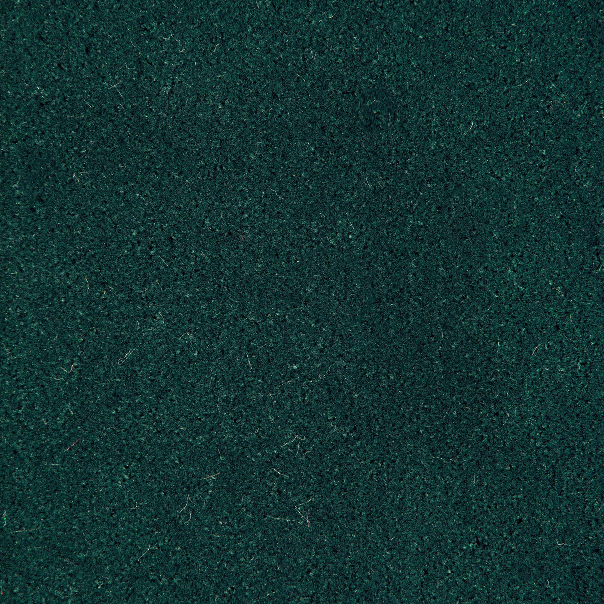 Kravet FOMO VERIDIAN Upholstery Fabric