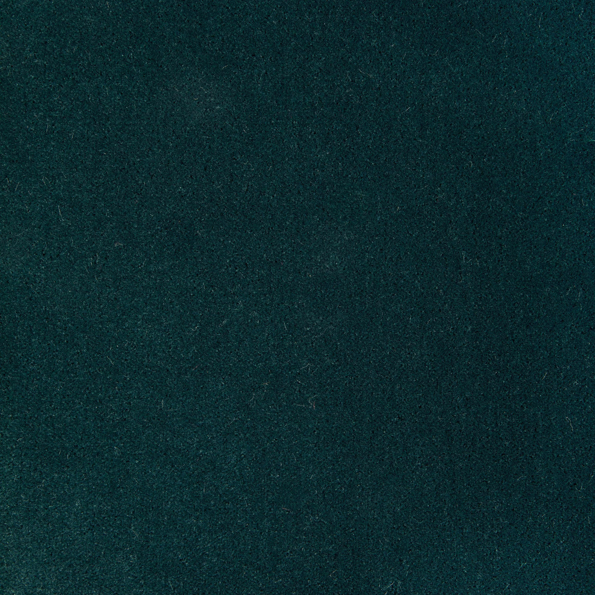 Kravet FOMO EGYPTIAN GREEN Upholstery Fabric