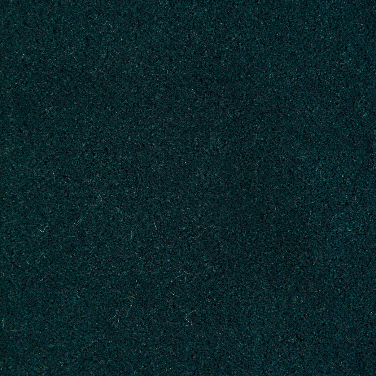 Kravet FOMO EGYPTIAN GREEN Upholstery Fabric