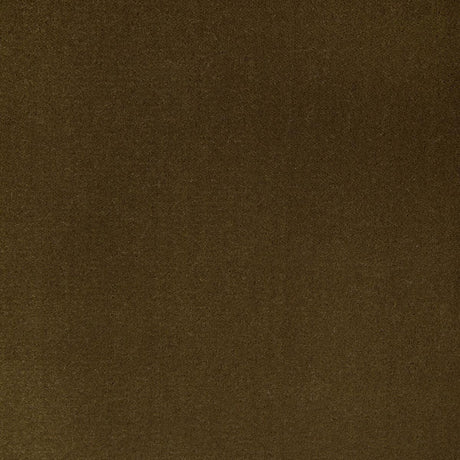 Kravet Fomo Bronze Fabric