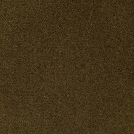 Kravet FOMO BRONZE Upholstery Fabric