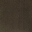 Kravet FOMO ETRUSCAN Upholstery Fabric