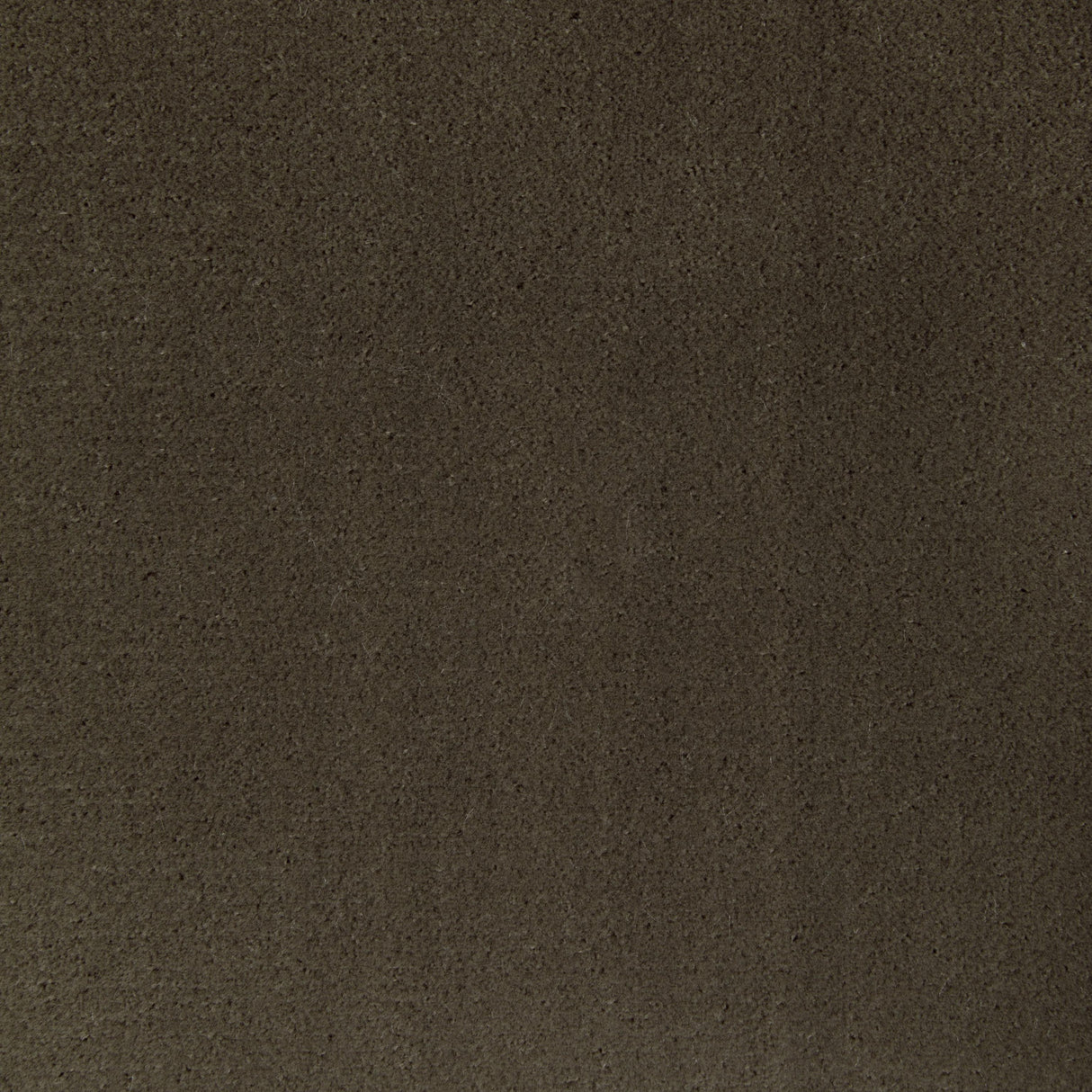 Kravet FOMO ETRUSCAN Upholstery Fabric