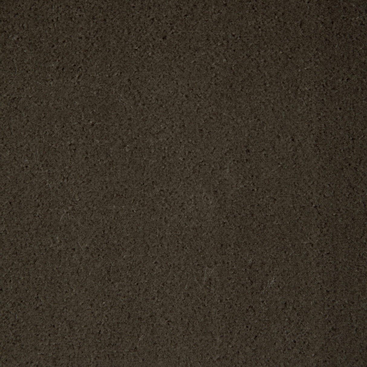 Kravet FOMO ETRUSCAN Upholstery Fabric