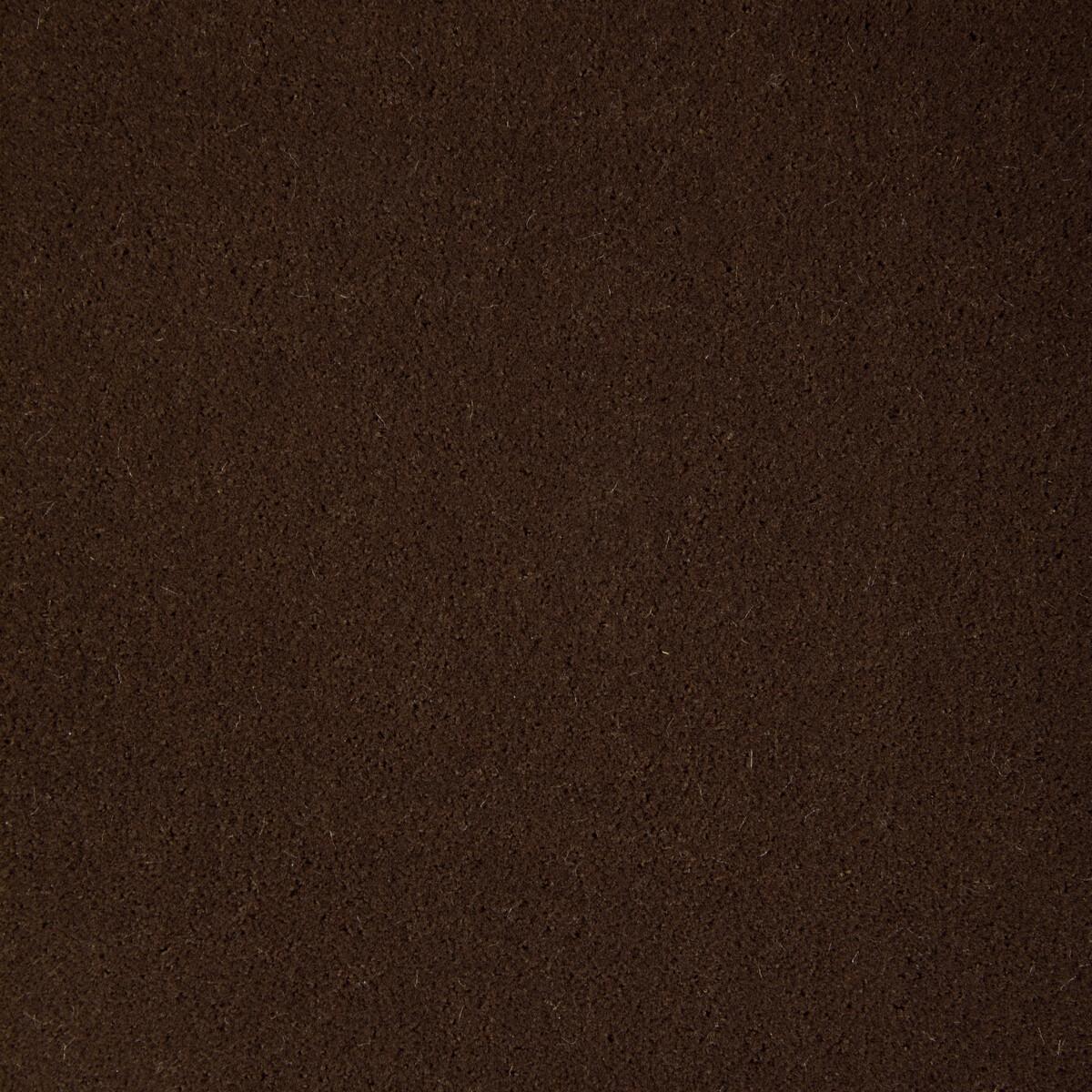 Kravet Fomo Cub Fabric