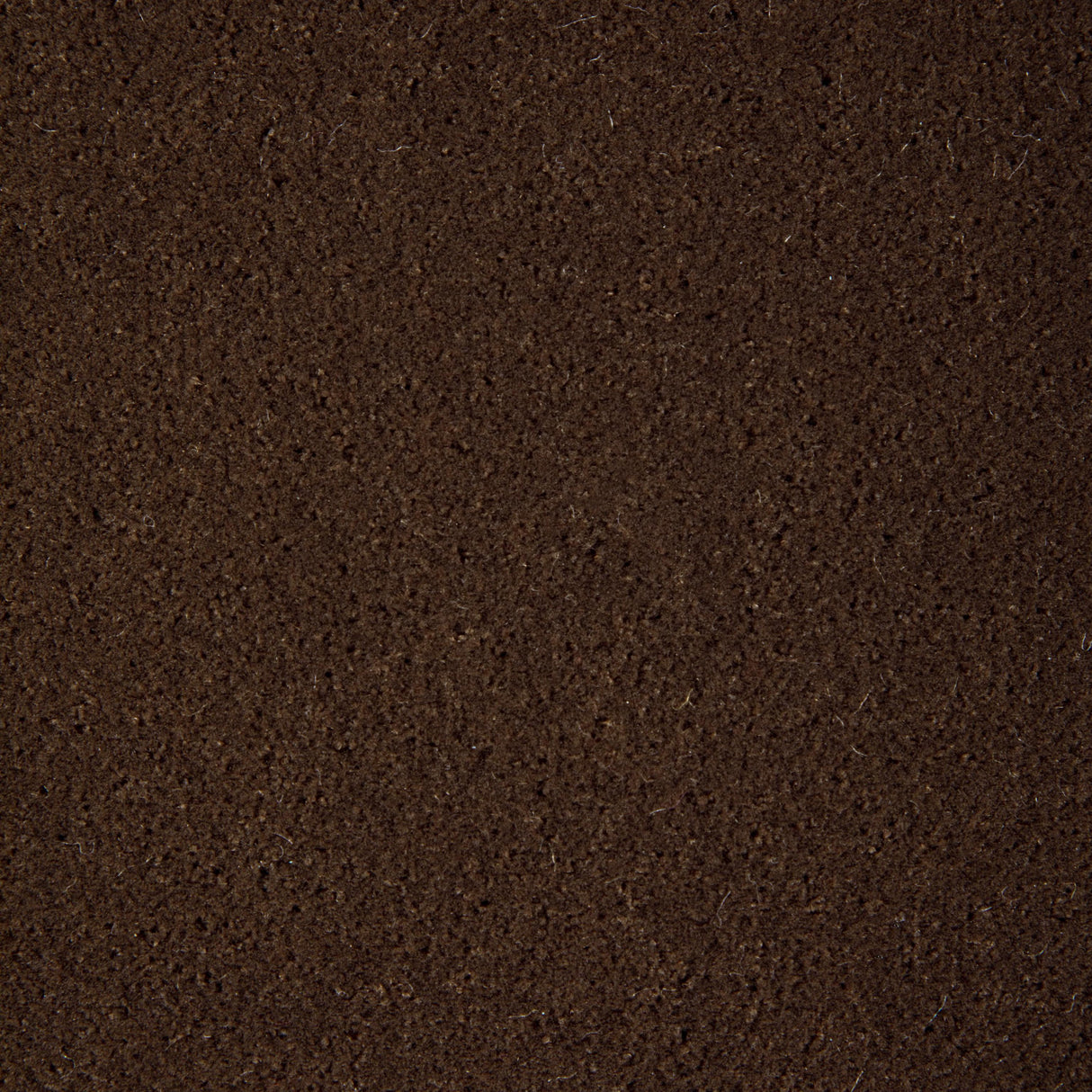 Kravet FOMO CUB Upholstery Fabric