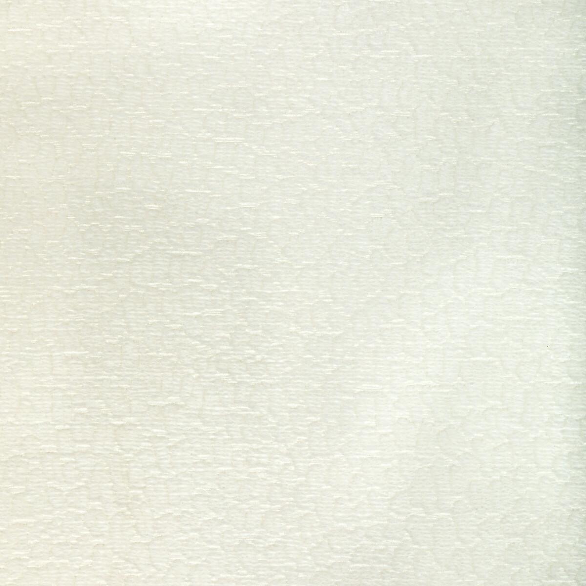 Kravet 36606 1 Fabric