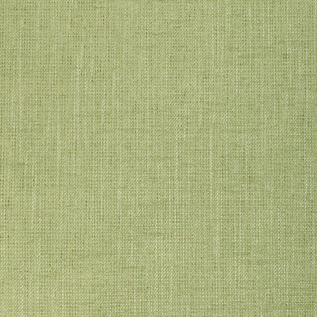 Kravet POET PLAIN LEAF Upholstery Fabric