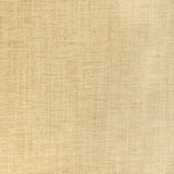 Kravet SMART 36650 1116 Upholstery Fabric